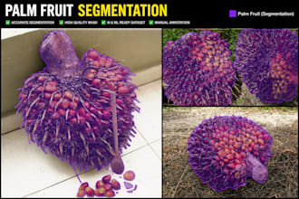 do palm fruit segmentation