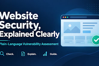 do a website vulnerability assessment and explain it in plain language