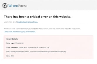 fix wordpress bugs, errors, woocommerce issues
