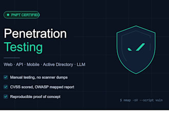 web application and API penetration testing