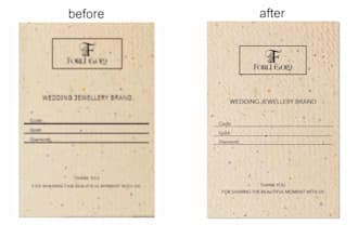 convert images into vector format