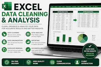 clean, organise, and analyse excel data