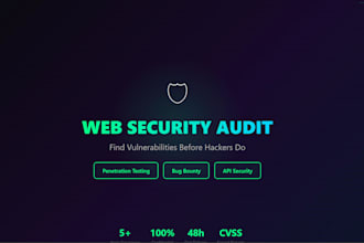 do a professional web application security audit