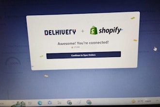 fix bugs and issues in your shopify store