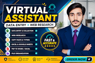 be your remote assistant for data enry