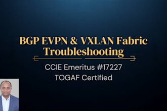 troubleshoot and optimize your bgp vxlan and evpn
