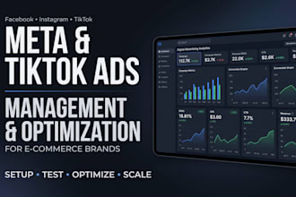 manage and optimize meta and tiktok ads for ecommerce