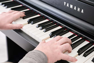 professional grand piano, felt piano, upright piano, rhodes and wurlitzer