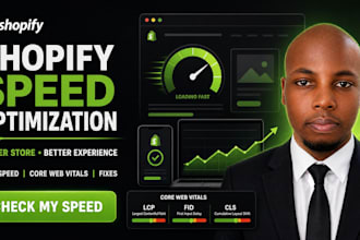 audit and optimize your shopify store speed