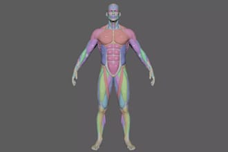 realistic human muscle anatomy,obj 3d model,stl print,organic texture,meshmixer