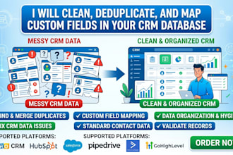 clean, deduplicate and map custom fields in your CRM database crm cleanup