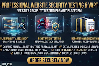 professional website security testing and vapt