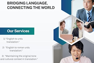 do professional english to urdu and roman urdu translation