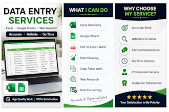 do excel data entry and google sheets work