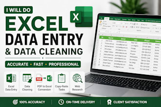 do expert data entry and excel spreadsheet work