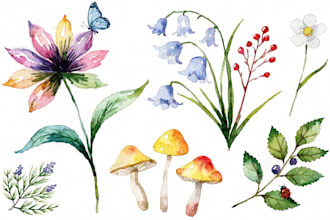 create watercolor and digital illustrations