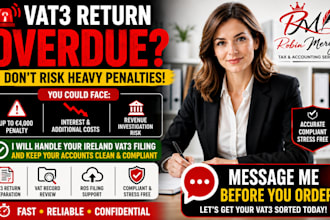 handle your ireland vat3 filing stop e4,000 penalty and keep the accounts clean