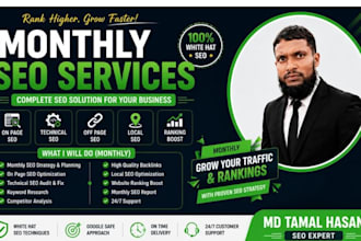 provide professional monthly SEO service to rank your websit