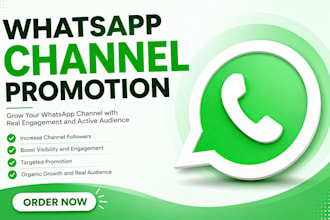 promote channels and whatsapp channel growth marketing promotion