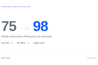 speed up woocommerce and wordpress, fix slow websites and core web vitals