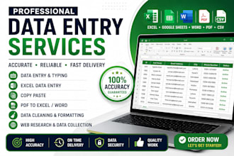 do data entry and excel spreadsheet work