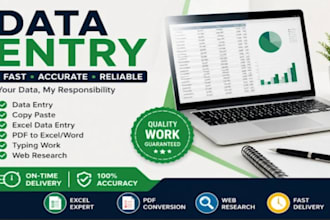 do intermediate excel data entry cleaning and spreadsheet formatting