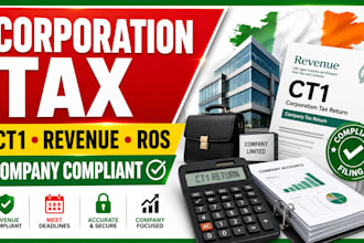 file irish corporation tax ct1 return revenue company compliance