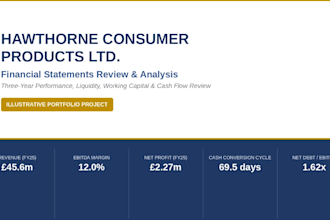 review and analyse your financial statements and provide insights