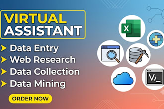 do expert data entry, ms excel and microsoft office tasks