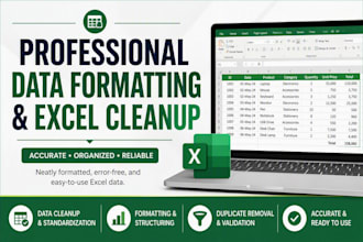 do professional data formatting, excel cleanup and spreadsheet formatting