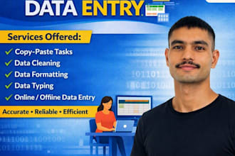 do accurate data entry, typing work, and excel data entry
