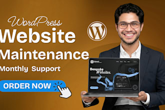 provide maintenance and support for your wordpress website