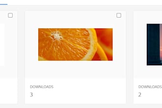 create vectors for your adobe stock contributor