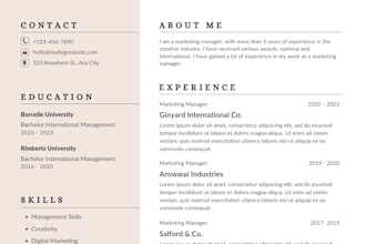 professional resume, CV and cover letter for job application
