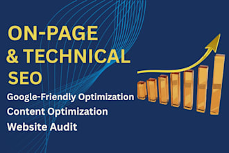 do website on page SEO, technical audit and content optimization