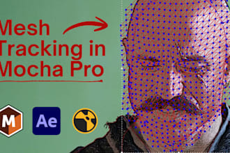 do mesh tracking in mocha pro