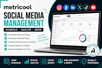 manage your social media with metricool, schedule posts