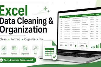 clean, organize, format and manipulate your excel data
