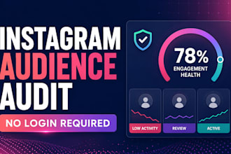 perform a no login instagram audience health audit
