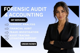 perform forensic audit, accounting and fraud investigation