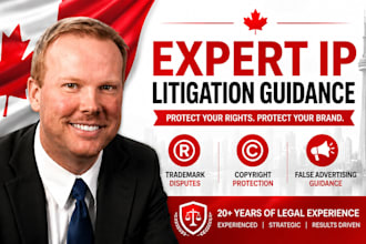 provide expert IP litigation trademark, copyright and false advertising guidance
