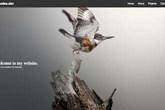 build a landing page for you