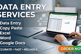 do data entry copy paste and web search