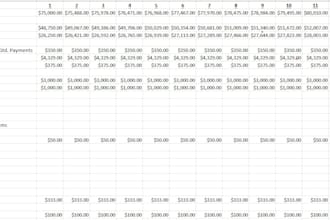 prepare pro forma projections for businesses startups constructions