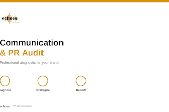 conduct a professional communication and PR audit for your brand