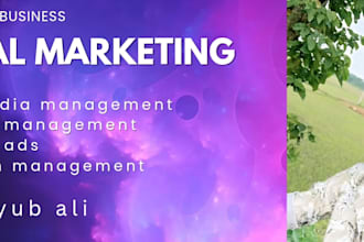 be your expert social media manager and facebook ads manager