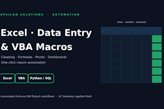 do your excel data entry, formulas, and vba macro automation