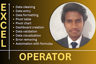 excel operator, data entry operator