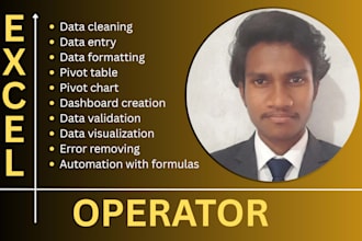 excel operator, data entry operator