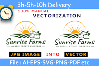 vectorize your logo, image to vector, raster vector conversion